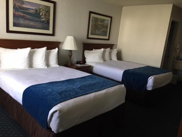 6 Romantic Hotels in Northern California Worth Booking as a Couple
